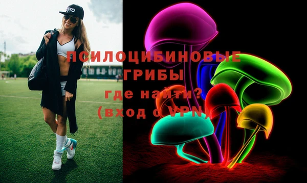 тгк Белокуриха